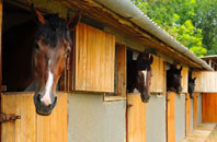 free Mount Lane stable construction quotes